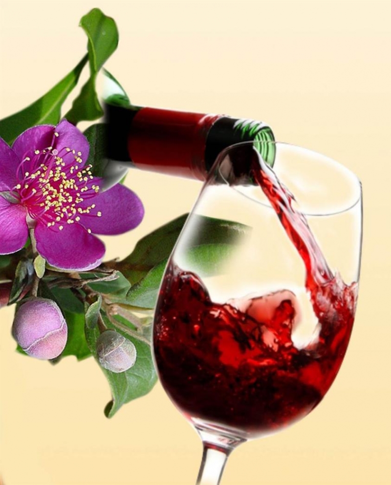 Rượu vang Đa Lộc - địa chỉ mua rượu vang uy tín nhất Hà Nội