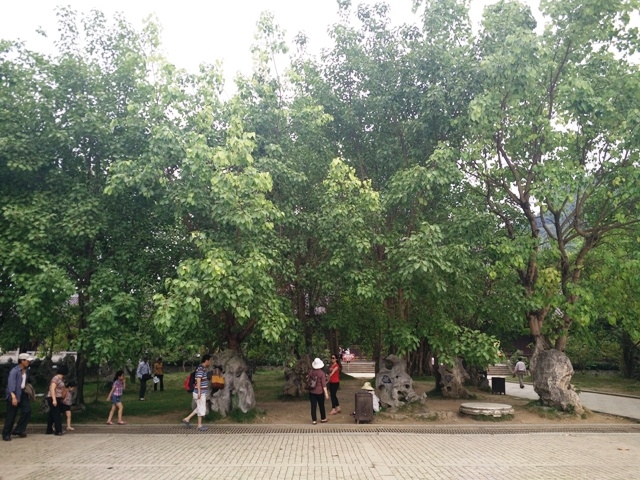 Chùa Bái Đính là ngôi chùa có nhiều cây bồ đề nhất nước ta tính đến thời điểm hiện tại